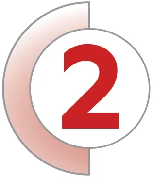 Pillar 2